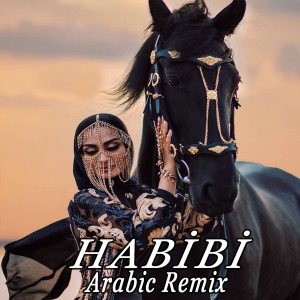 收听Tayfun Ali Çavuş的Habibi (Arabic Remix)歌词歌曲