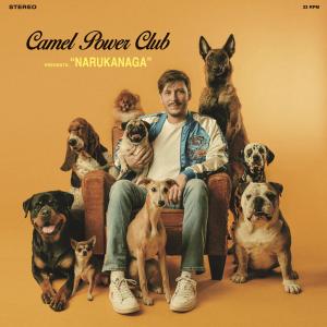 收聽Camel Power Club的Bamtak歌詞歌曲
