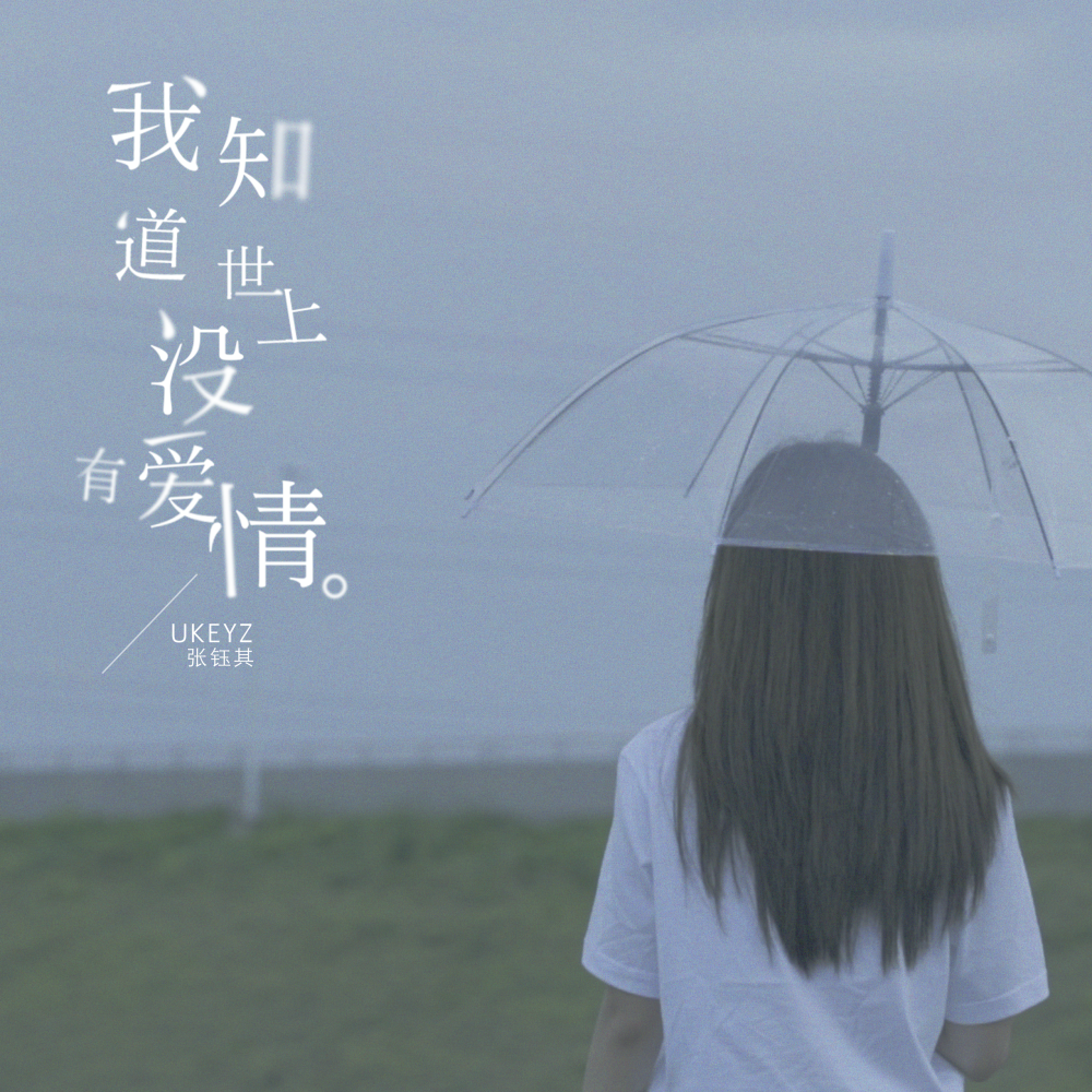 我知道世上没有爱情 (伴奏)