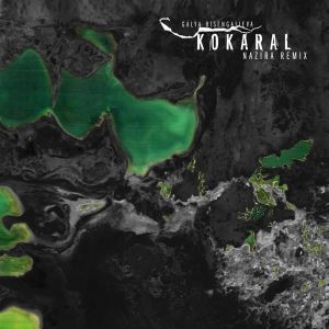 Album Kokaral (Nazira Remix) from Galya Bisengalieva