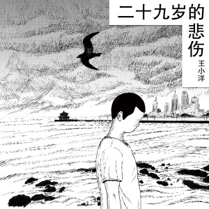 王小洋的专辑二十九岁的悲伤