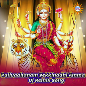 Listen to Pulivaahanam Yekkinadhi Amma (Dj Remix Song) song with lyrics from Warangal Shankar