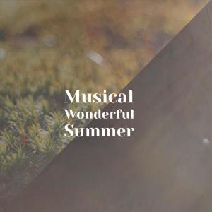 อัลบัม Musical Wonderful Summer ศิลปิน Various
