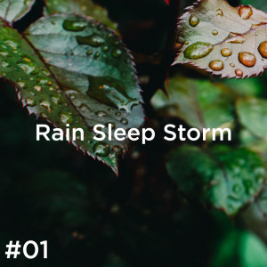Listen to Thunder & Lightning song with lyrics from BodyHI