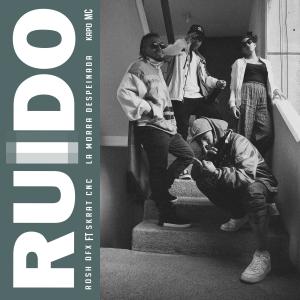ดาวน์โหลดและฟังเพลง Ruido พร้อมเนื้อเพลงจาก ROSH DFX