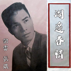 Listen to 舞伴淚影 song with lyrics from 张琪