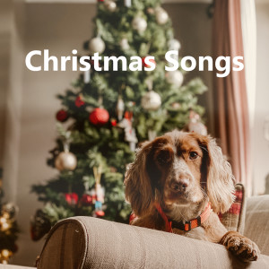 收聽Justin Bieber的Christmas Love歌詞歌曲