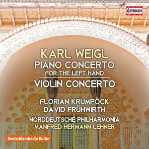 David Frühwirth的專輯Weigl: Piano Concerto for the Left Hand in E-Flat Major & Violin Concerto in D Major