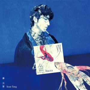 ดาวน์โหลดและฟังเพลง Pisces พร้อมเนื้อเพลงจาก 唐汉霄