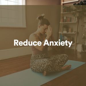 ดาวน์โหลดและฟังเพลง Reduce Anxiety, Pt. 7 พร้อมเนื้อเพลงจาก Ambientalism