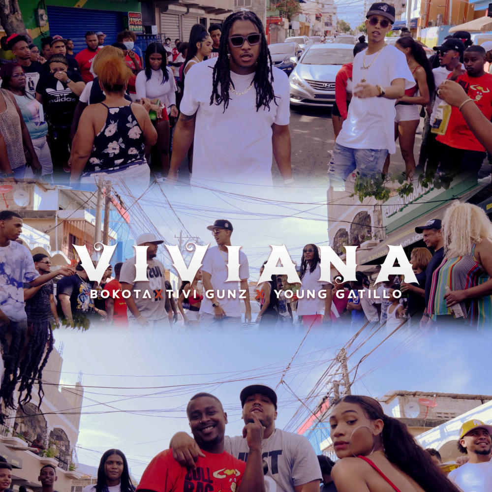 ViViANA (Explicit)