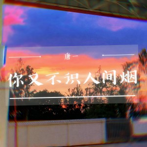 Album 你又不识人间烟 from 唐一
