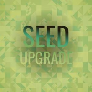 Various Artists的專輯Seed Upgrade