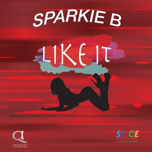 收聽Sparkie B的Like It歌詞歌曲