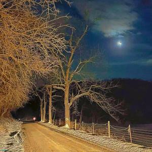 收聽Xenos的High Beams (feat. yetii) (Explicit)歌詞歌曲