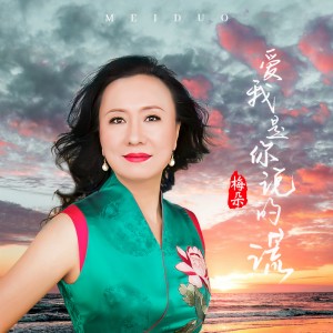 收聽梅朵的愛我是你說的謊歌詞歌曲