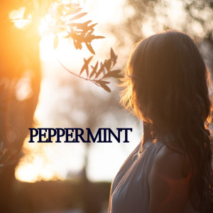 Dengarkan 사랑스런 너와 나 (feat. 비비안 & DJ Deborah) (Lovely you and I) lagu dari Pepper Mint dengan lirik