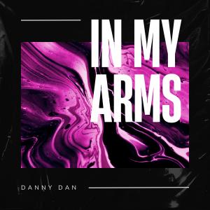 Listen to In My Arms (Instrumental Mix) song with lyrics from Danny Dan