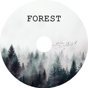ดาวน์โหลดและฟังเพลง Forest พร้อมเนื้อเพลงจาก Alessandro Cerri