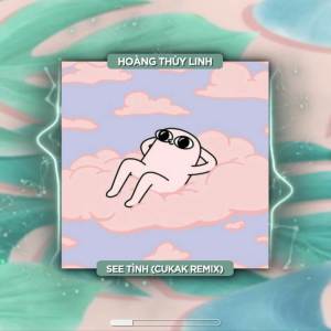 ดาวน์โหลดและฟังเพลง BEAT See Tình (Cukak Remix) พร้อมเนื้อเพลงจาก Cukak