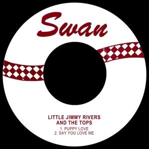 ดาวน์โหลดและฟังเพลง Say You Love Me พร้อมเนื้อเพลงจาก Ronald Augustus Mack