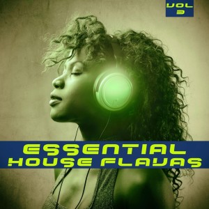 Listen to The Striving (Blue House Mix) song with lyrics from House Kookers