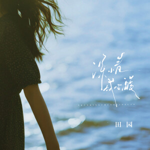 Album 深情成心酸 from 田园