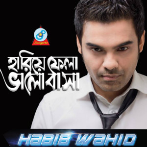 收聽Habib Wahid的Hariye Fela Bhalobasha歌詞歌曲