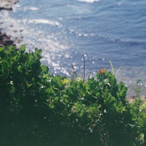 Listen to ベクトル (feat. 音楽的同位体 裏命) song with lyrics from Ru-ru