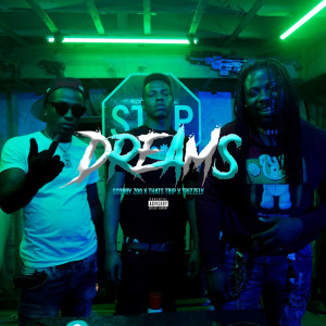 Listen to Dreams (Explicit) song with lyrics from Thats Trip