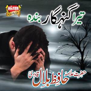 收聽Hazrat Allama Hafiz Bilal Qadri的Tera Gunehgar Banda歌詞歌曲