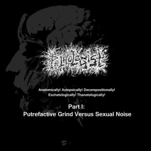 ดาวน์โหลดและฟังเพลง Tumorous Defects and Diseases (Demo) (Explicit) พร้อมเนื้อเพลงจาก Pathologist