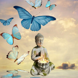 Listen to Spa Meditation song with lyrics from The Healing Buddha