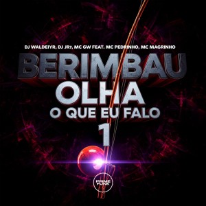 收听DJ Waldeiyr的Berimbau Olha O Que Eu Falo (Explicit)歌词歌曲