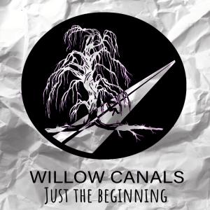 ดาวน์โหลดและฟังเพลง Shake That (feat. Seyes) (Explicit) พร้อมเนื้อเพลงจาก Willow Canals