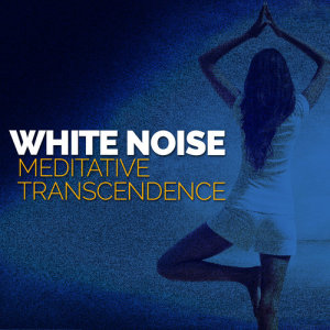 ดาวน์โหลดและฟังเพลง White Noise: Tide พร้อมเนื้อเพลงจาก White Noise Meditation