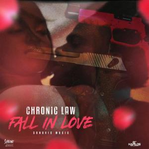 ดาวน์โหลดและฟังเพลง Fall in Love (Explicit) พร้อมเนื้อเพลงจาก Chronic Law