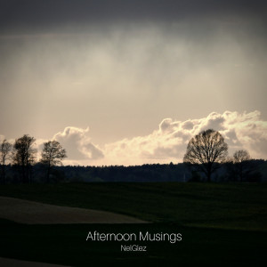 Listen to Afternoon Musings song with lyrics from NelGlez