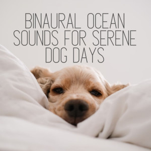 Binaural Beat的专辑Binaural Ocean Sounds for Serene Dog Days