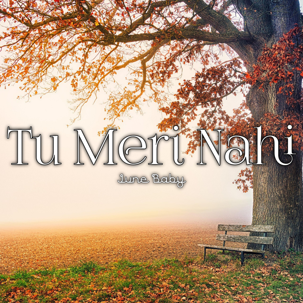 Tu Meri Nahi