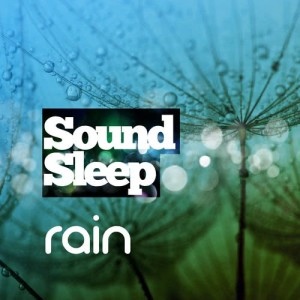 ดาวน์โหลดและฟังเพลง Incessant Rain พร้อมเนื้อเพลงจาก Outside Broadcast Recordings
