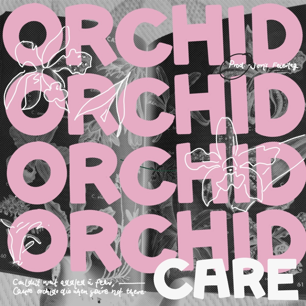 Orchid Care