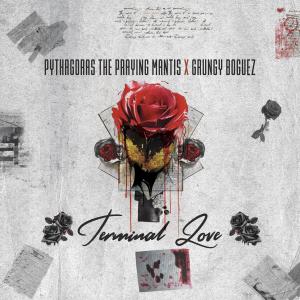 Pythagoras The Praying Mantis的專輯Terminal Love