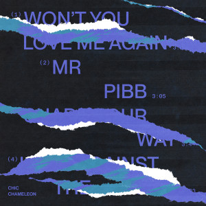 Album Mr. Pibb from Chic Chameleon