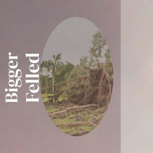 收听Arilson Sthe的Tripletail Championship歌词歌曲