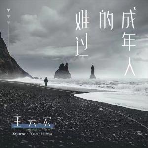Listen to 成年人的难过 song with lyrics from 王云宏
