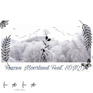 Album Frozen Moorland (feat. Sonja) from Sonja