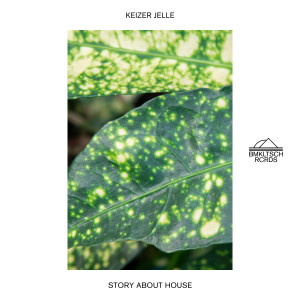 Keizer Jelle的專輯Story About House (Extended)
