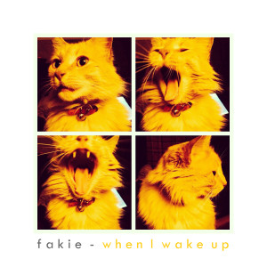 Album When I Wake Up from Fakie