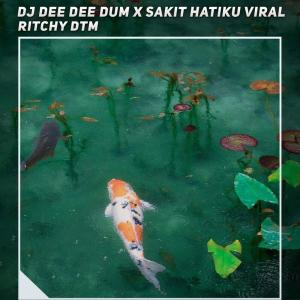 Album Dj Dum Dee Dum X Sakit Hatiku from Ritchy DTM